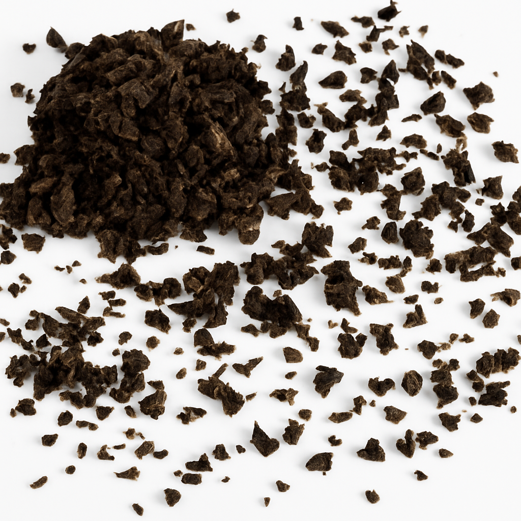 Truffe brisures Tuber Brumale