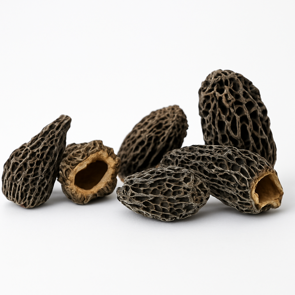 Morilles Extra Regular